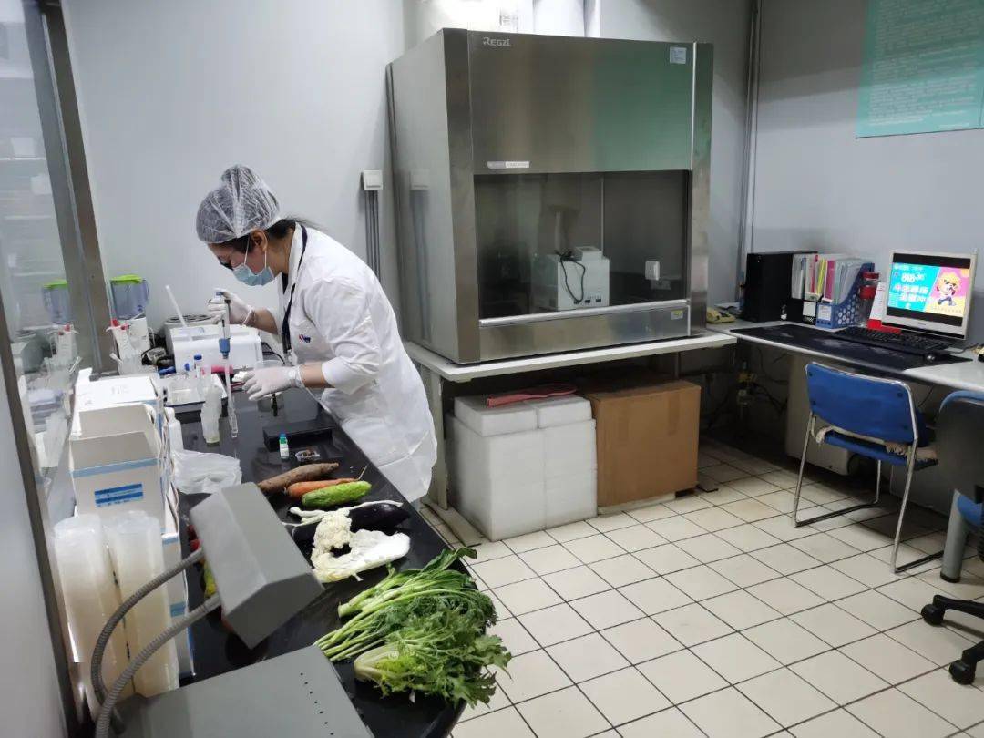 勐海食品检测实验室装修方案